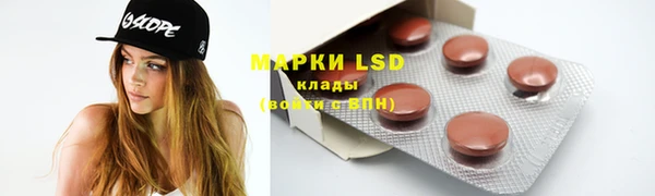 индика Верхнеуральск