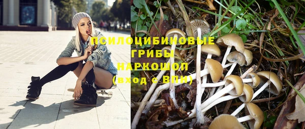 a pvp Бронницы