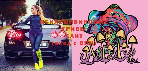 индика Верхнеуральск