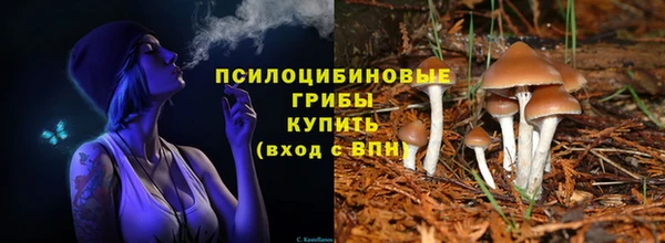 индика Верхнеуральск