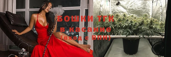 индика Верхнеуральск