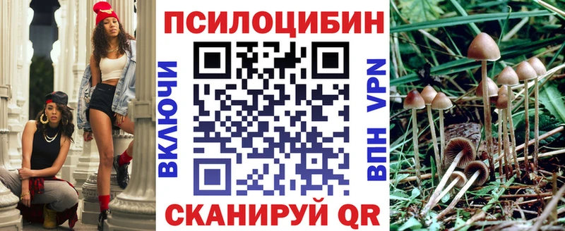 Псилоцибиновые грибы Cubensis  hydra маркетплейс  Луга  нарко площадка состав  что такое  